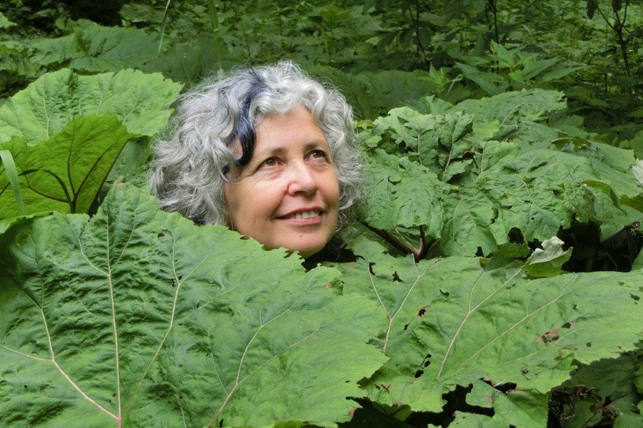 Margareta Fuchs